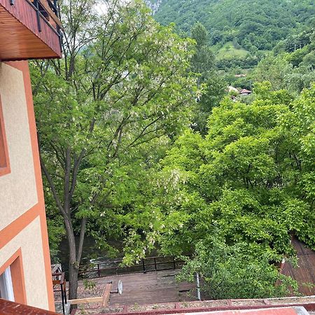 Casa Princess Băile Herculane エクステリア 写真